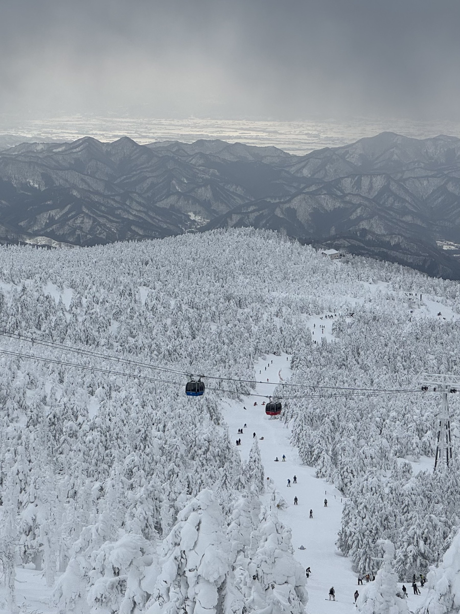A snow-covered mountain slope and gondolas beneath a gray sky